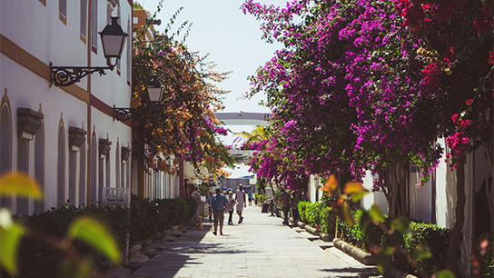 Las Palmas de Gran Canaria