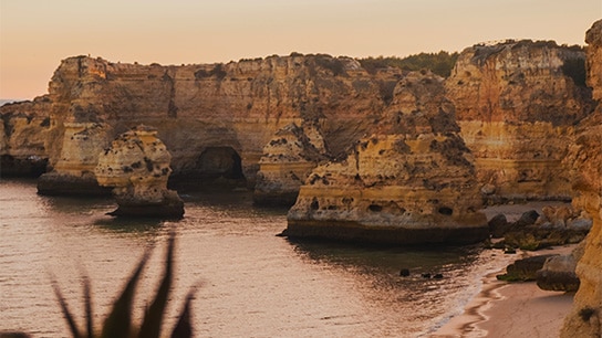 Faro