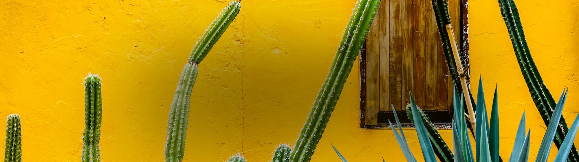 SummerSeaonals2026 SummerSeaonals2026